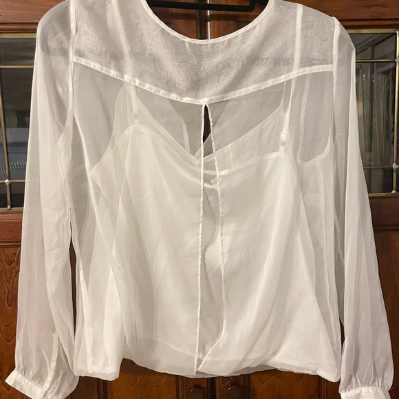 White House Black Market Gorgeous Sheer Long Sleeved Blouse with Cami. Size 6 - Picture 6 of 10